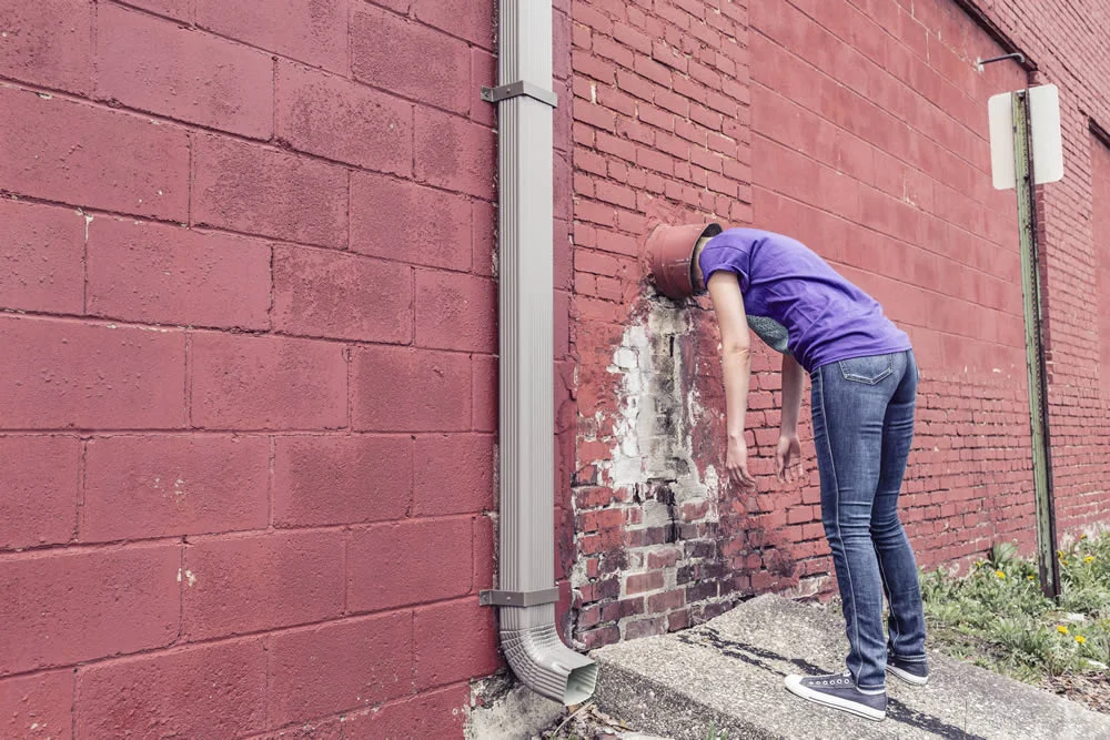 Why do some website succeed and others fail