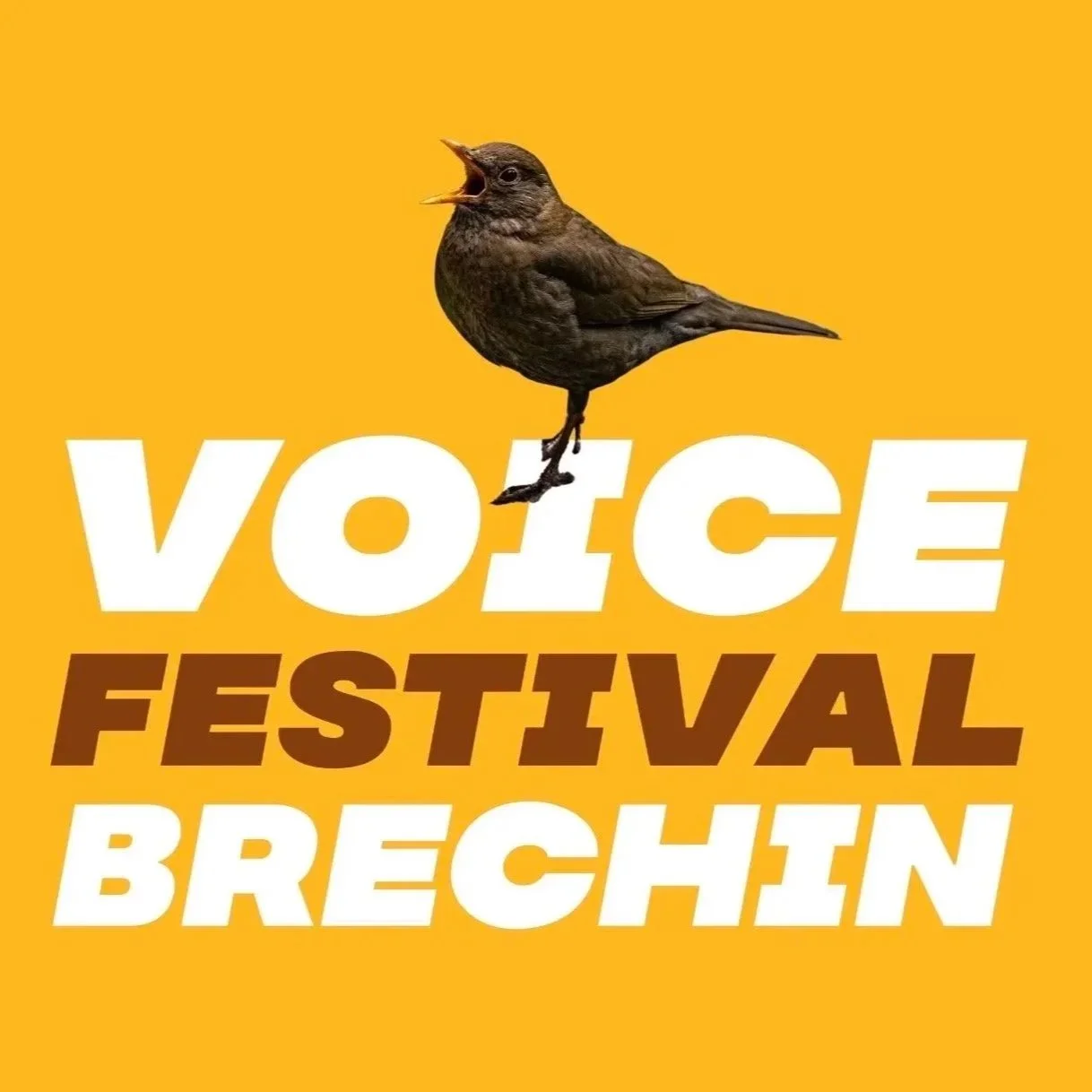 VOICEFEST - WORKSHOPS 