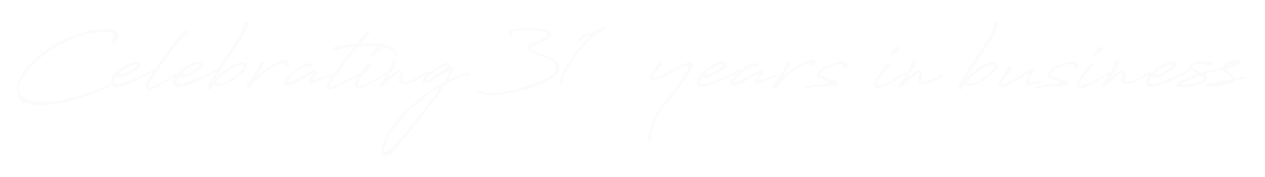 31 Years.png
