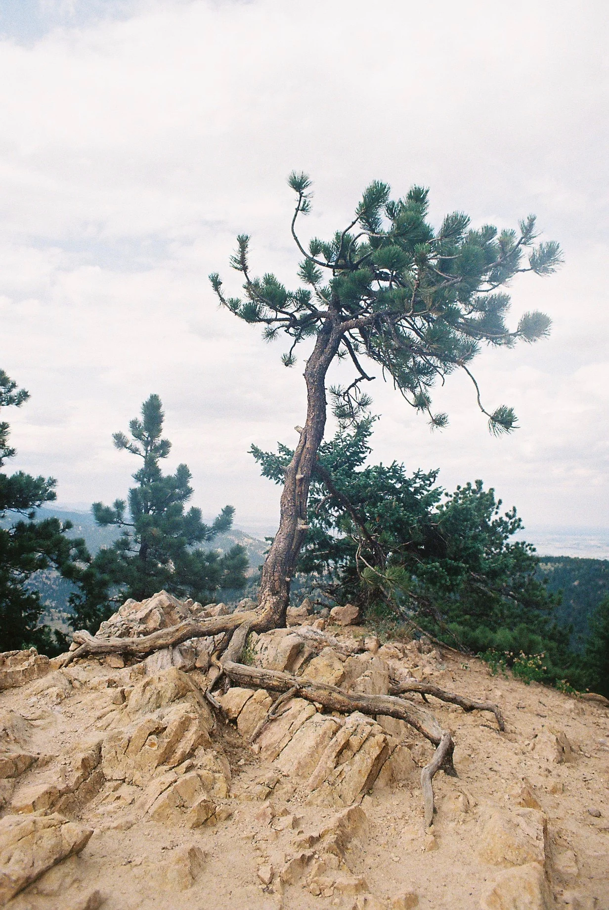 CNV00010.jpg
