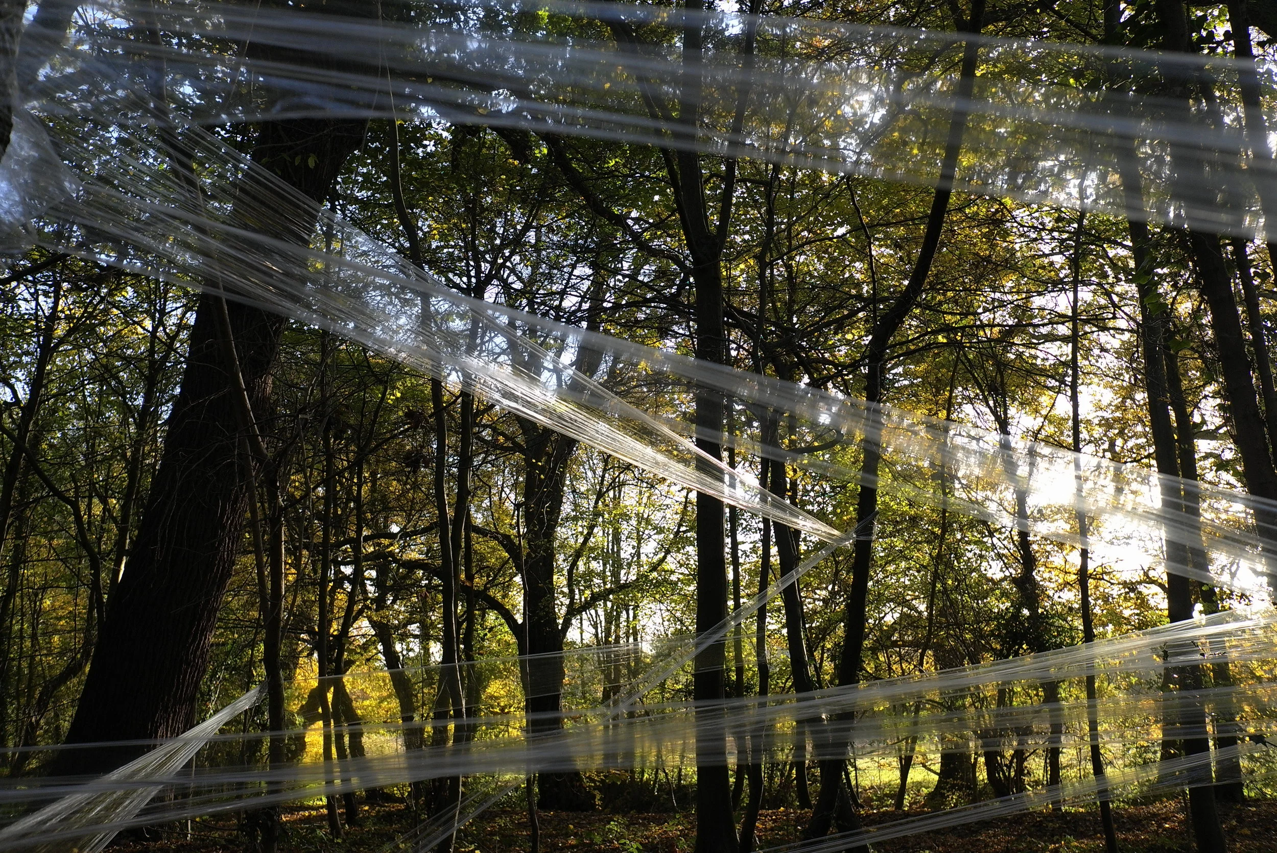 L1451653.JPG