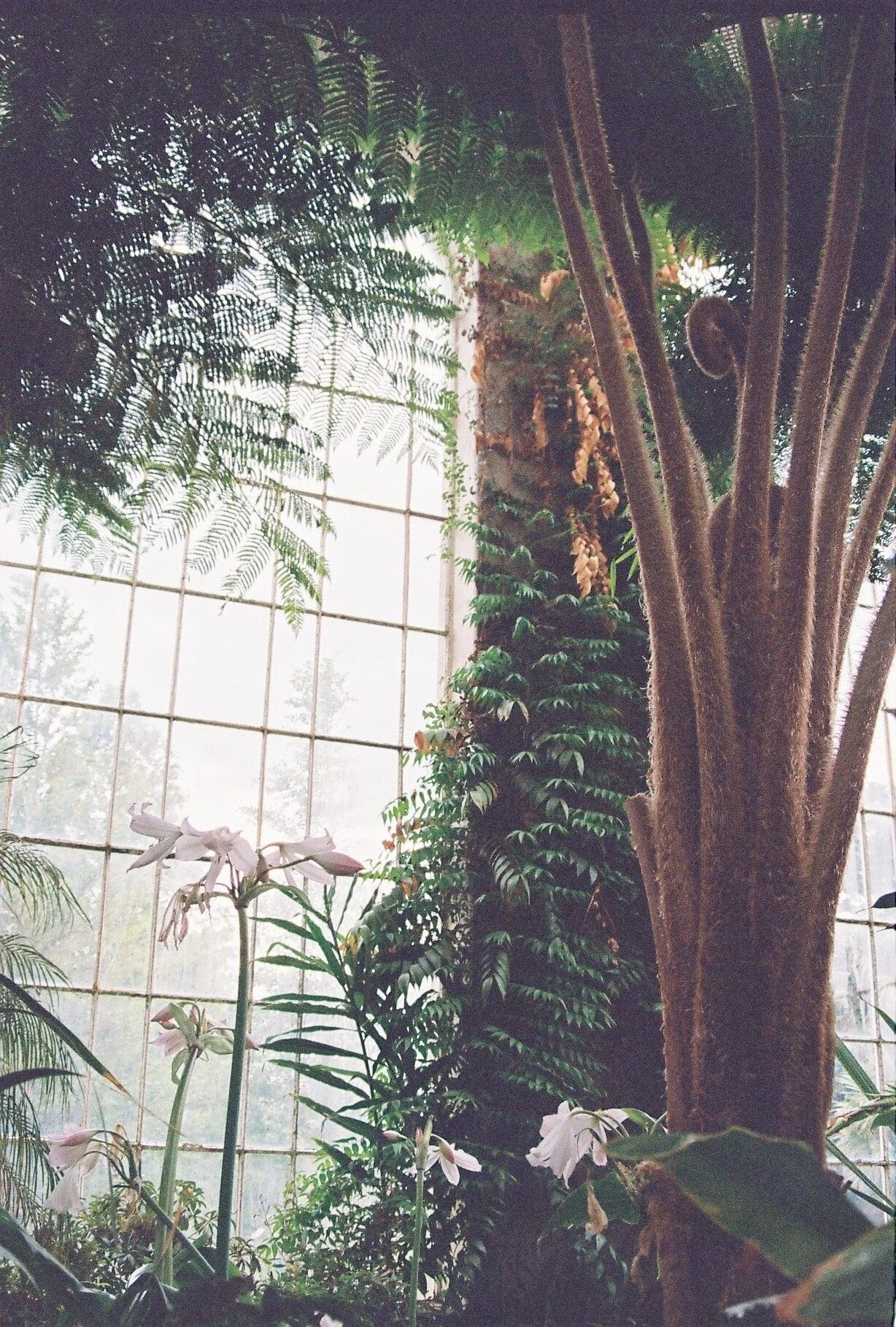 CNV00010.jpg