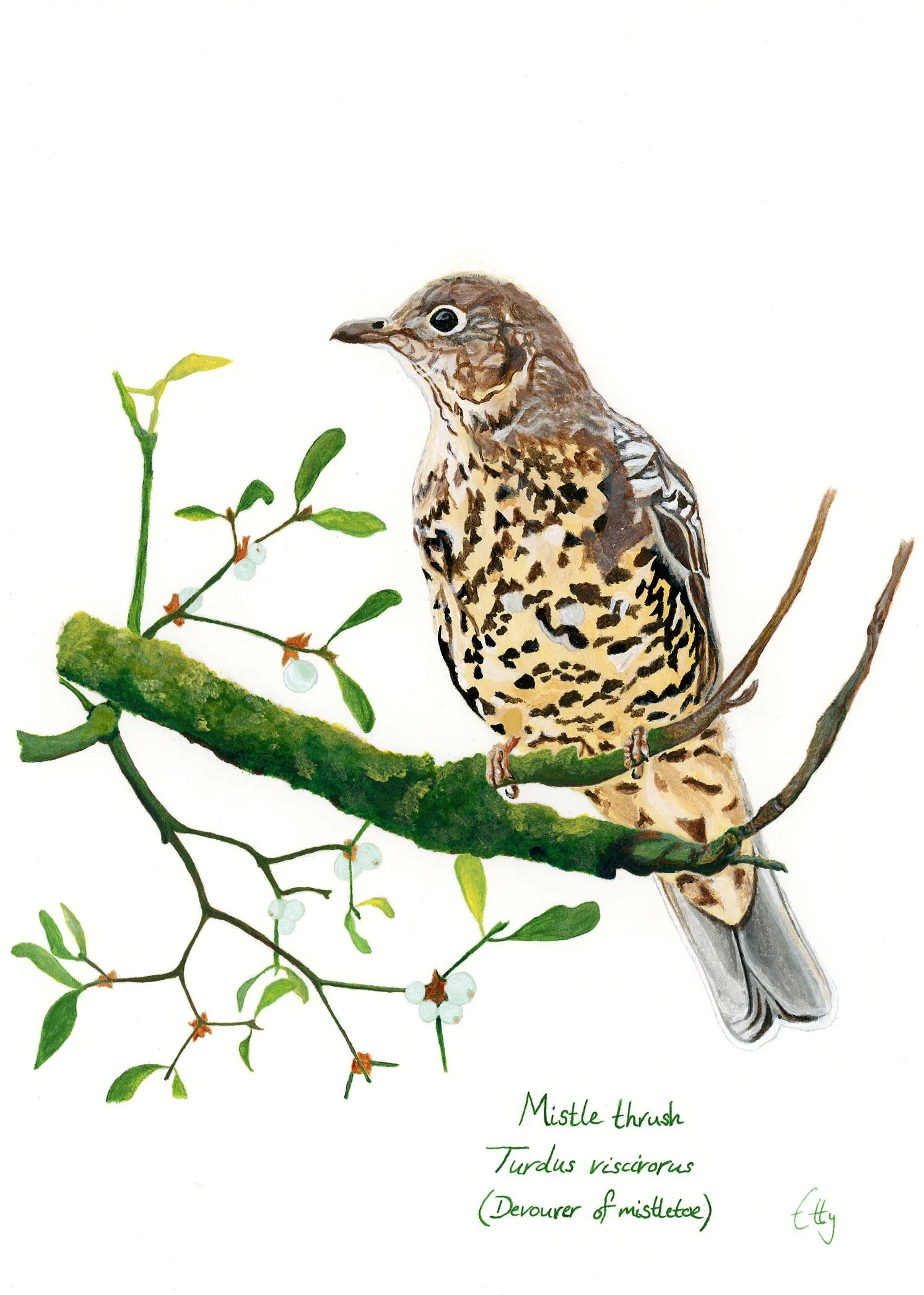 A0E600A8-3043-4968-BAE2-E0A0AEC70929