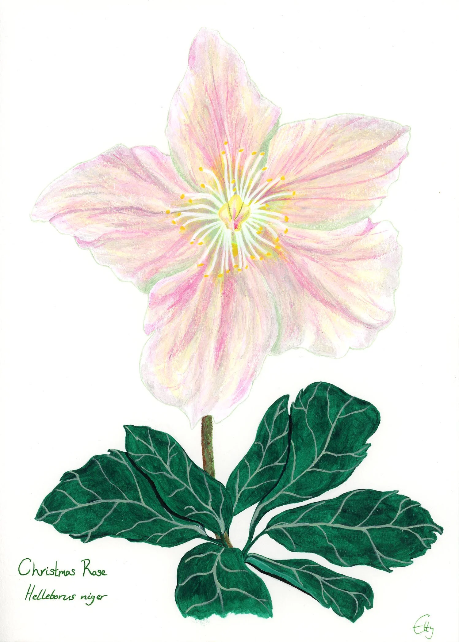 F5D5CEC8-CC8C-42A4-967D-35D3E91CD2B1