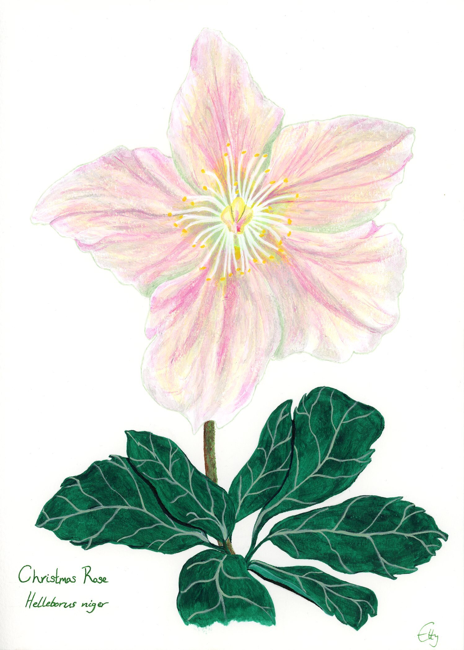 E227F405-ADAC-4DBE-90BE-CC7661871789