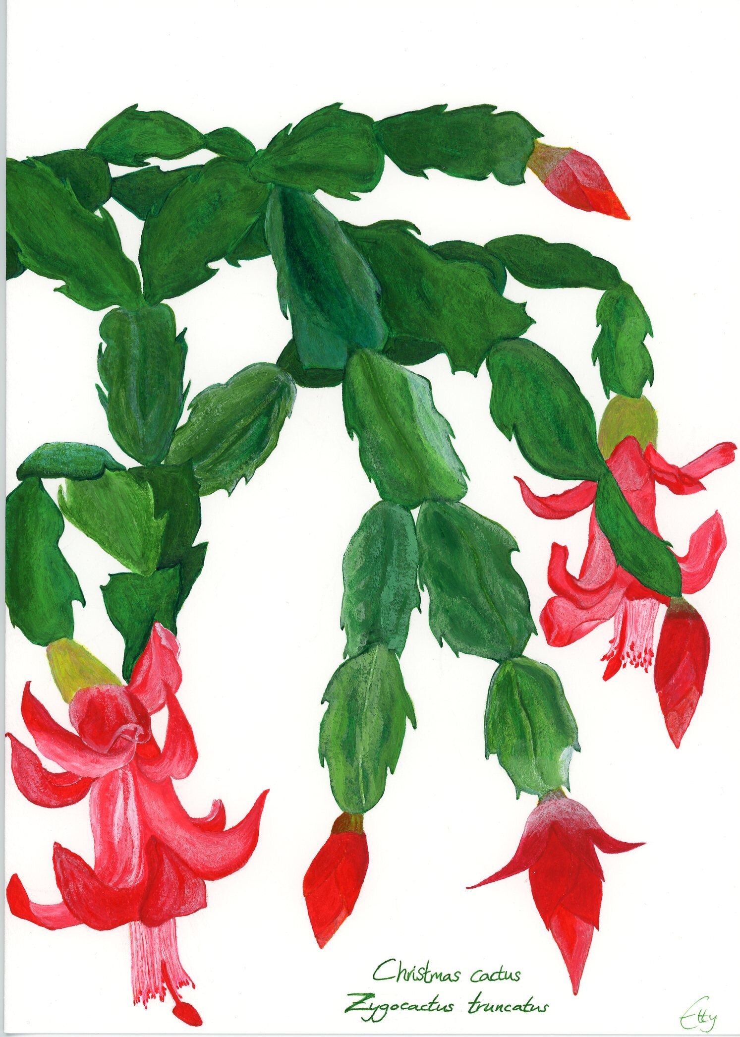 35E890E2-D51A-4E3D-9792-E972C7775C45