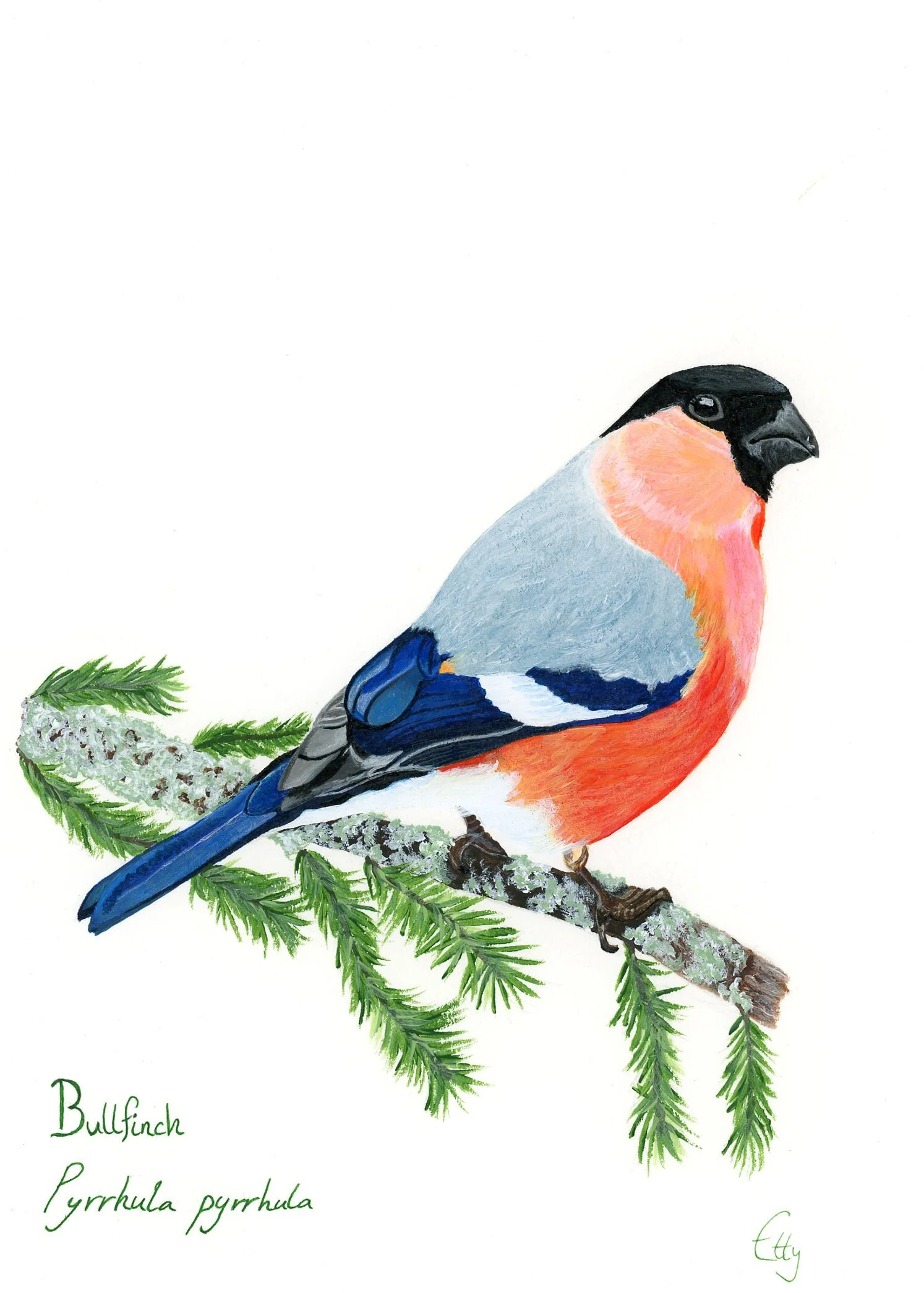 C6B4500B-2D37-470A-B08C-E2B527879B79