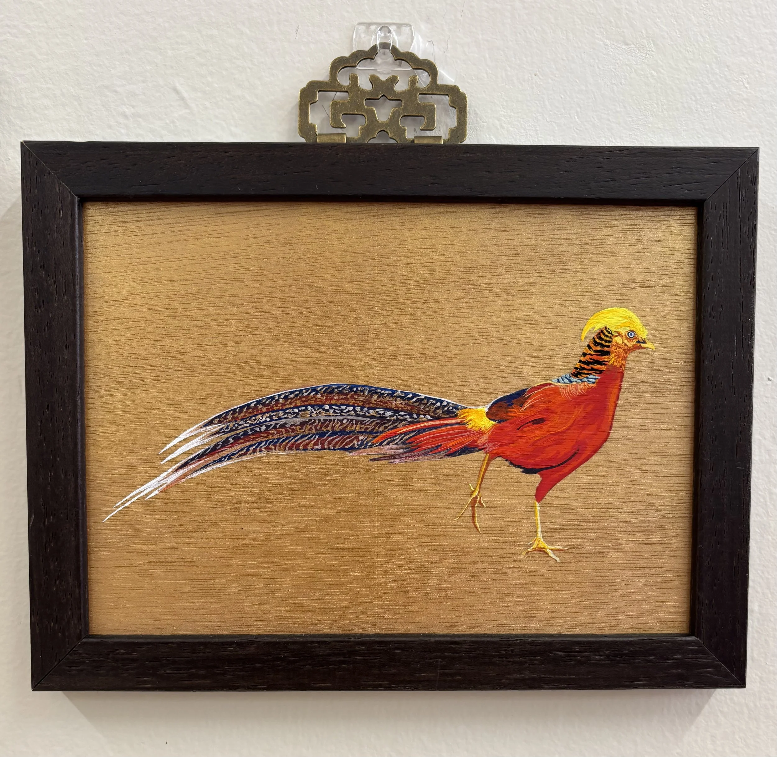 Golden Pheasant