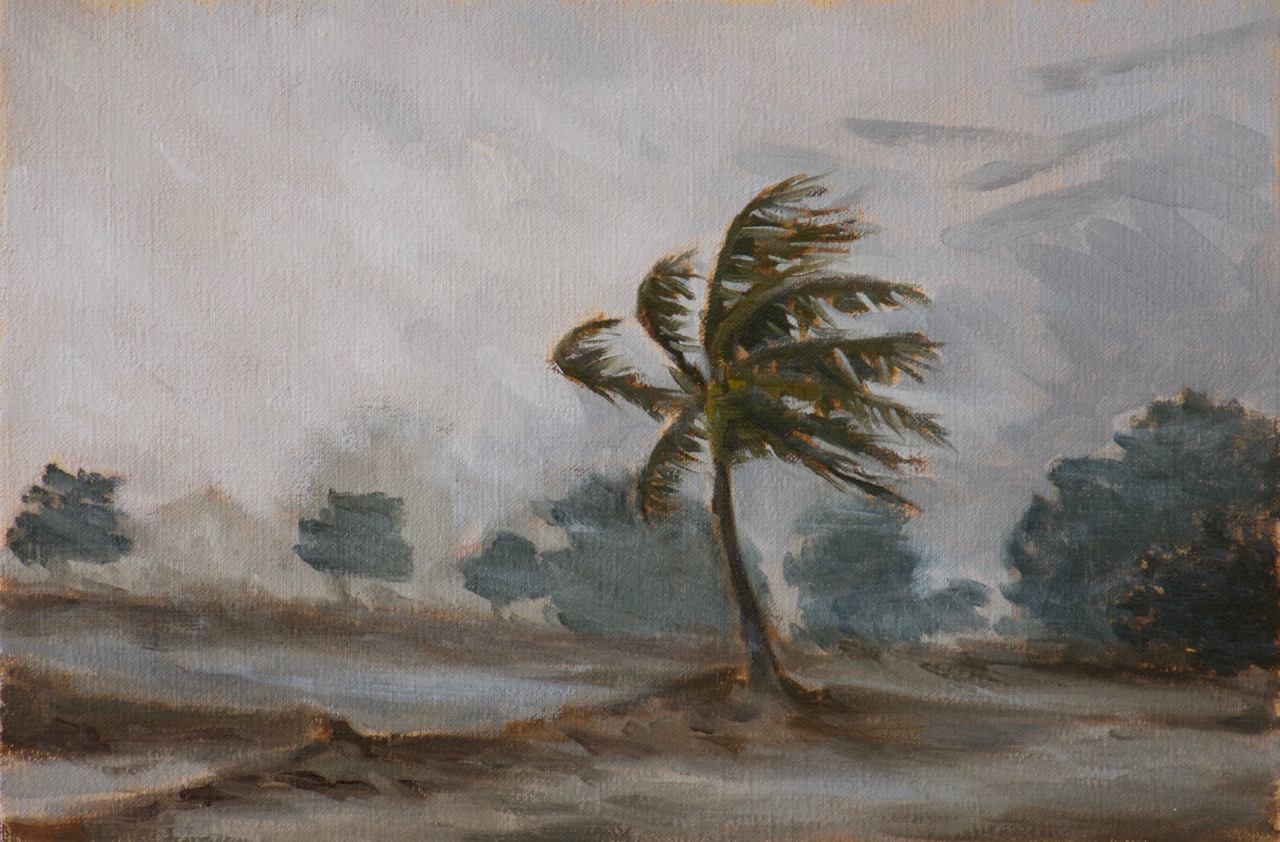 Palm Tree in Hurricane