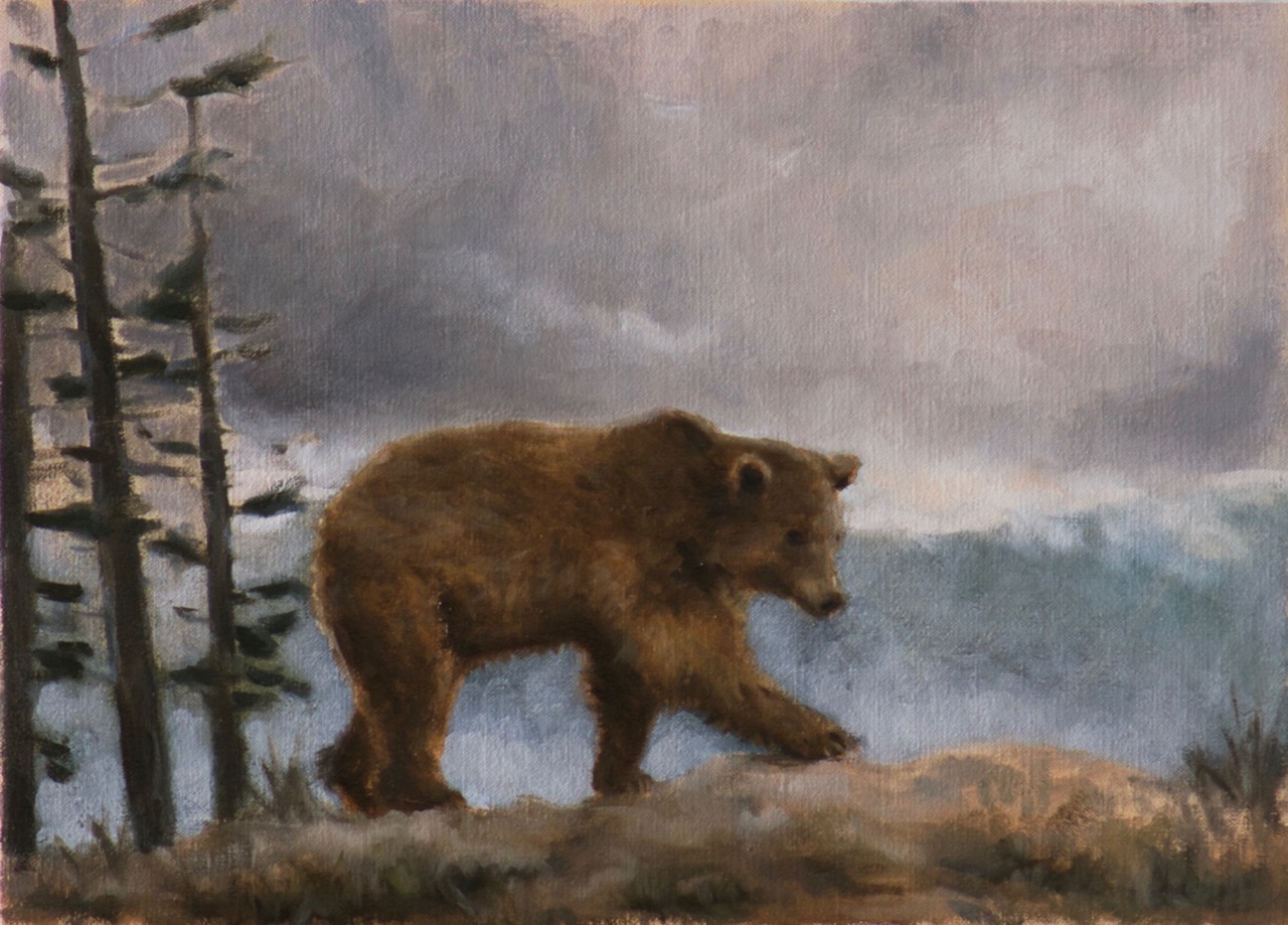 Bear in Drizzle