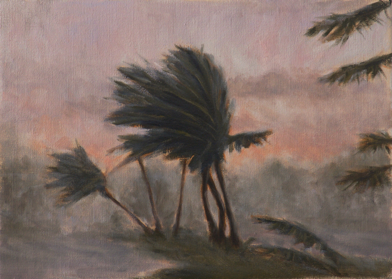 Sunset, Florida
