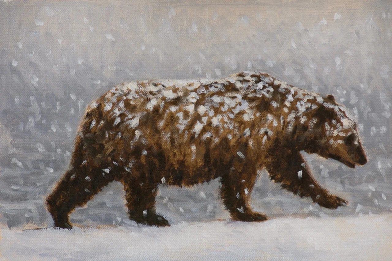 Bear in Snow