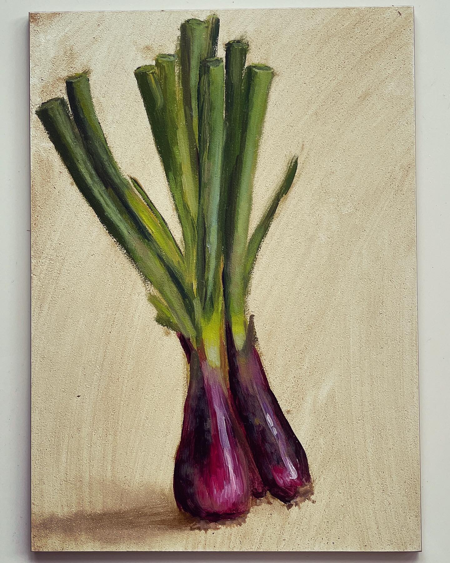 Some red spring onions - I put out a lot of alizarin on my palette by mistake so I am now just mostly painting purple / red things - stay tuned for aubergine, radicchio and more!