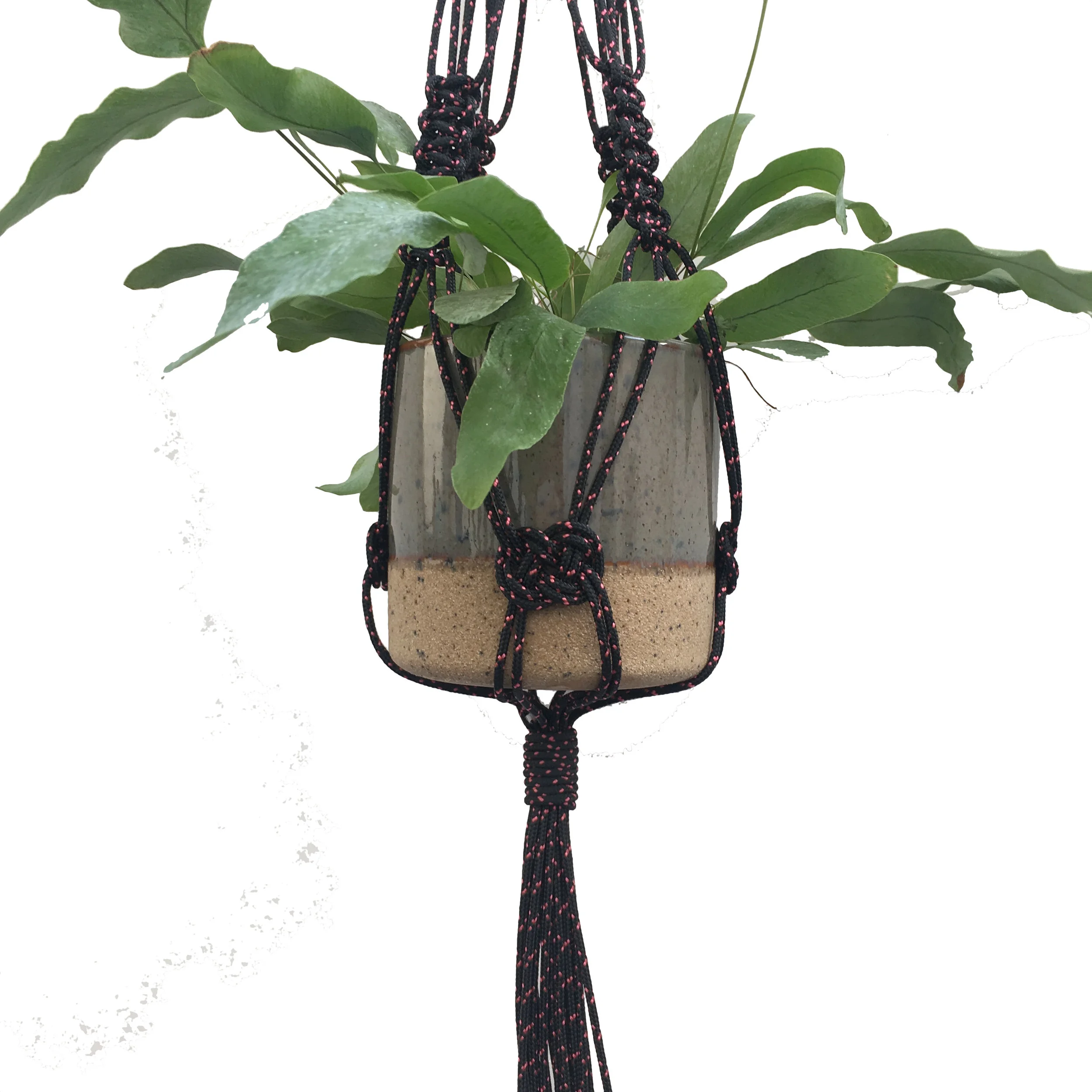 detail black.jpg