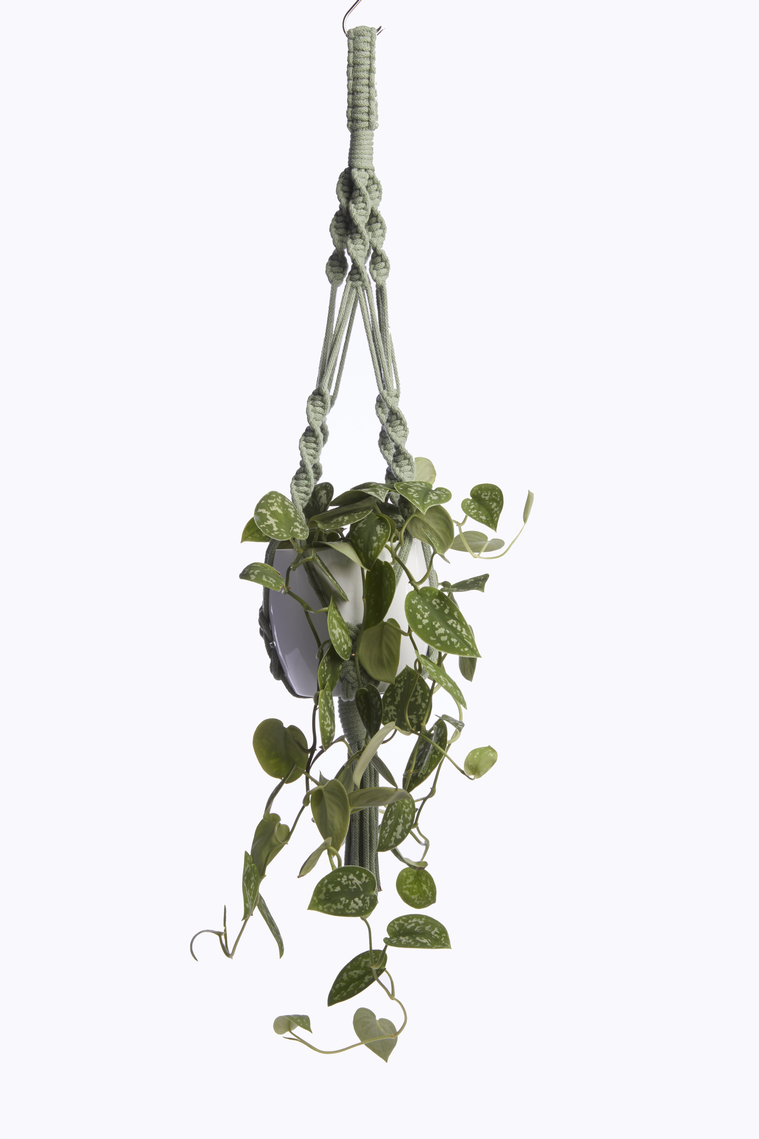 Eucalyptus Medium Hanger.jpg