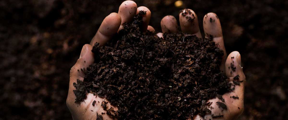 waste-compost.jpg
