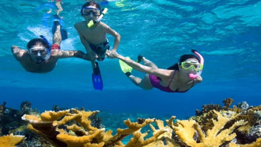 snorkel.jpg