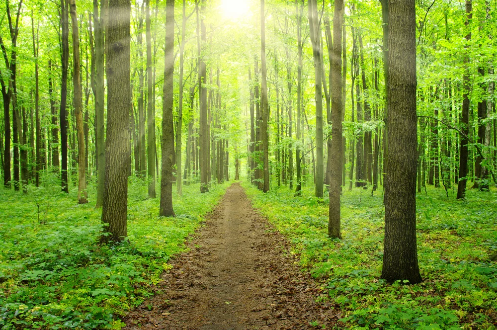 Website Possible Photo.jpeg