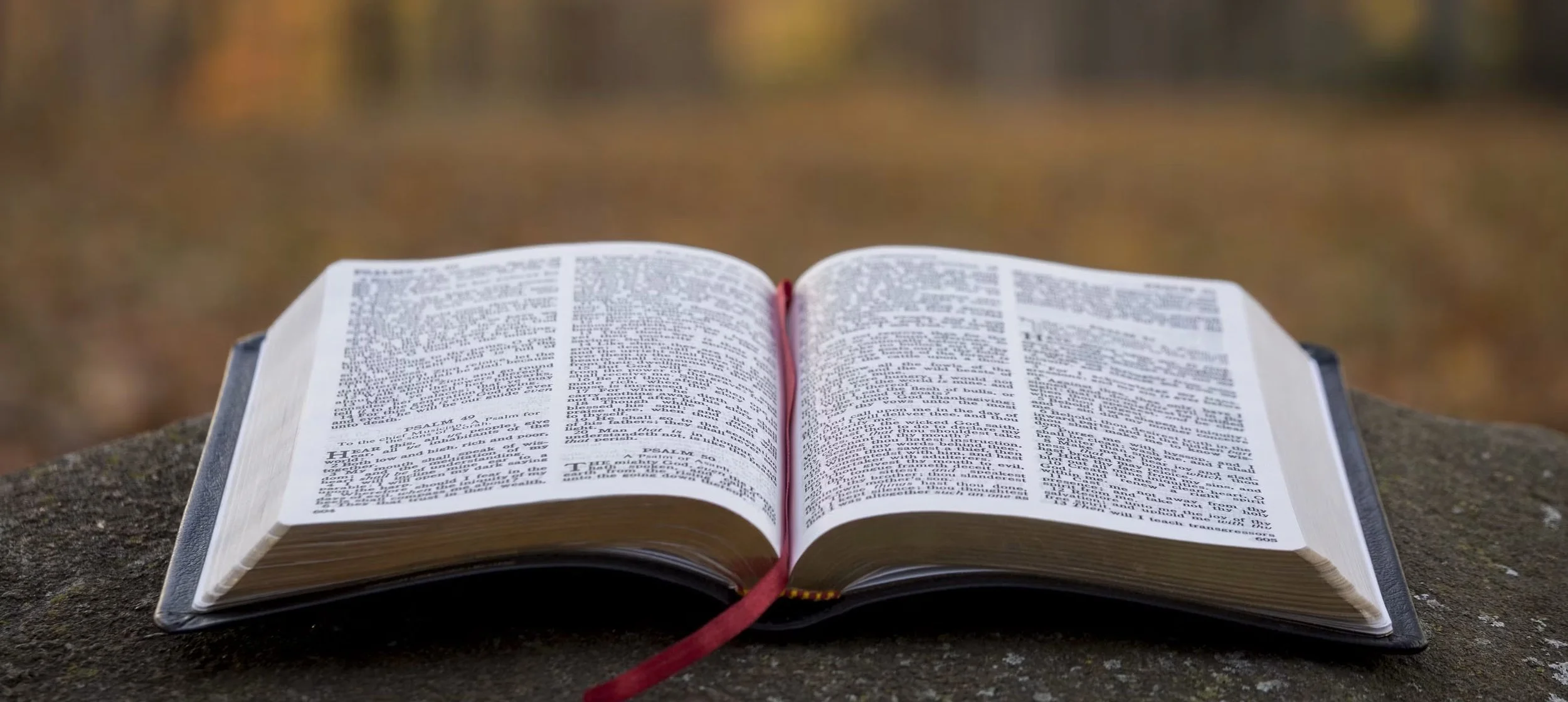 open bible copy.jpg