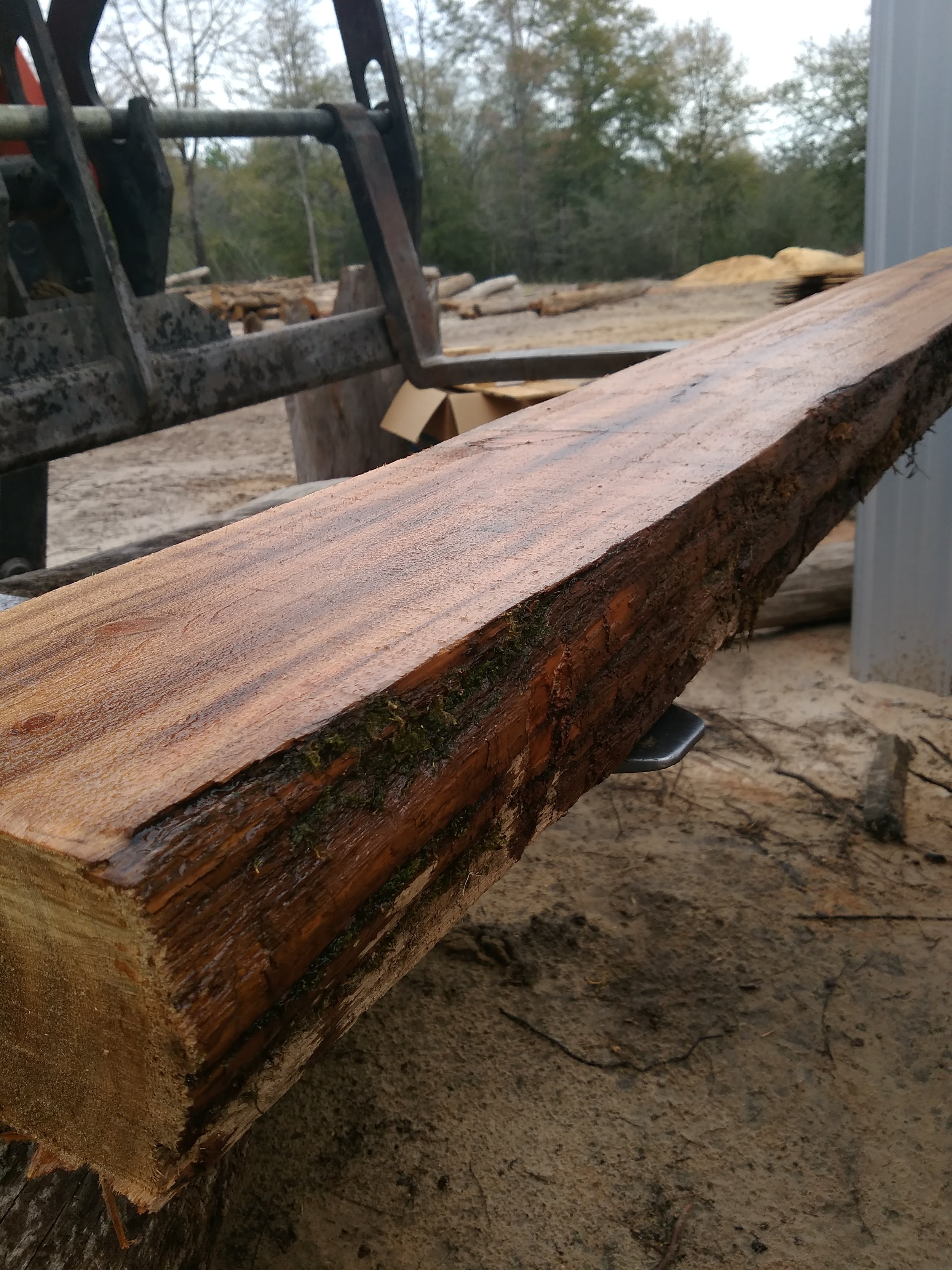 Live Edge Sinker Cypress Mantel