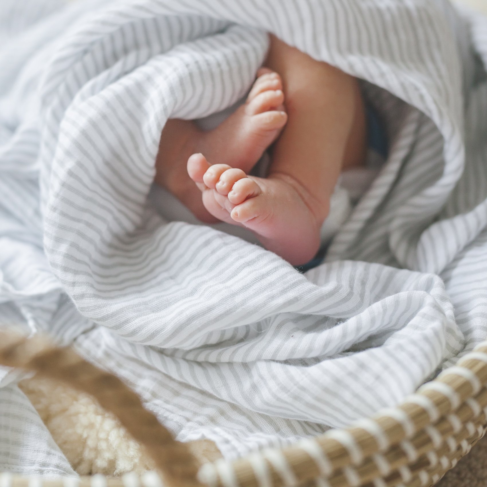 Swaddles_58.jpg