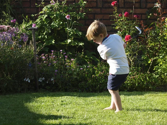 Sunday Afternoon With A New Camera