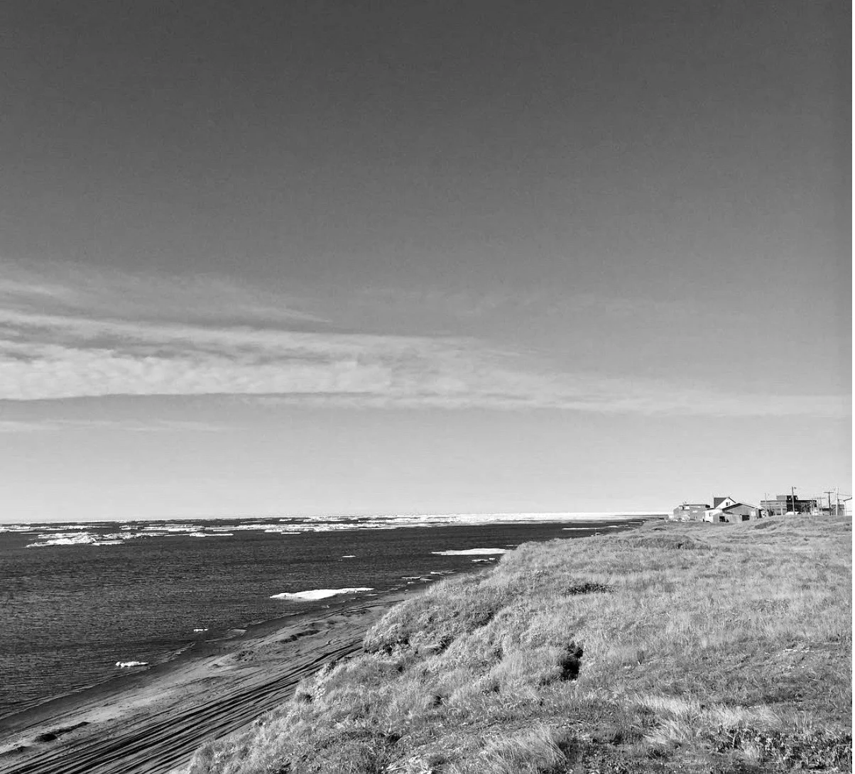 Alaska's Arctic coastline in mid-summer