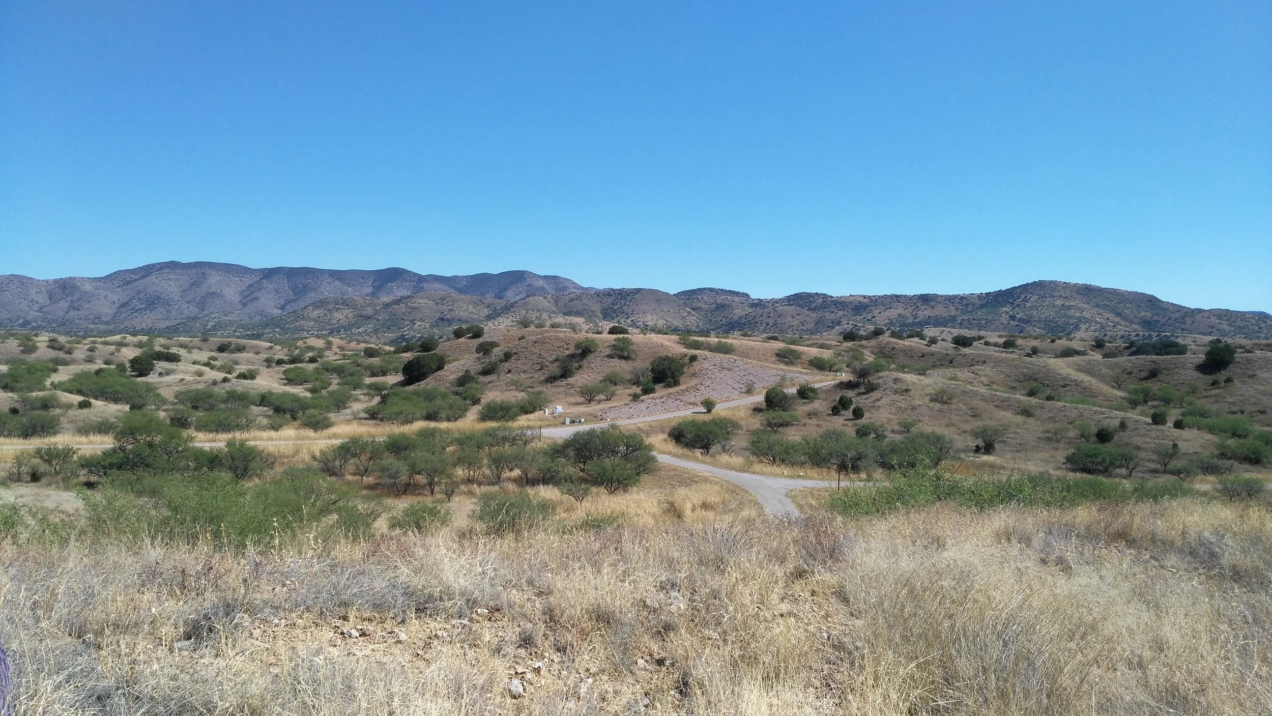 Site of a failed housing development purchased by the Institute