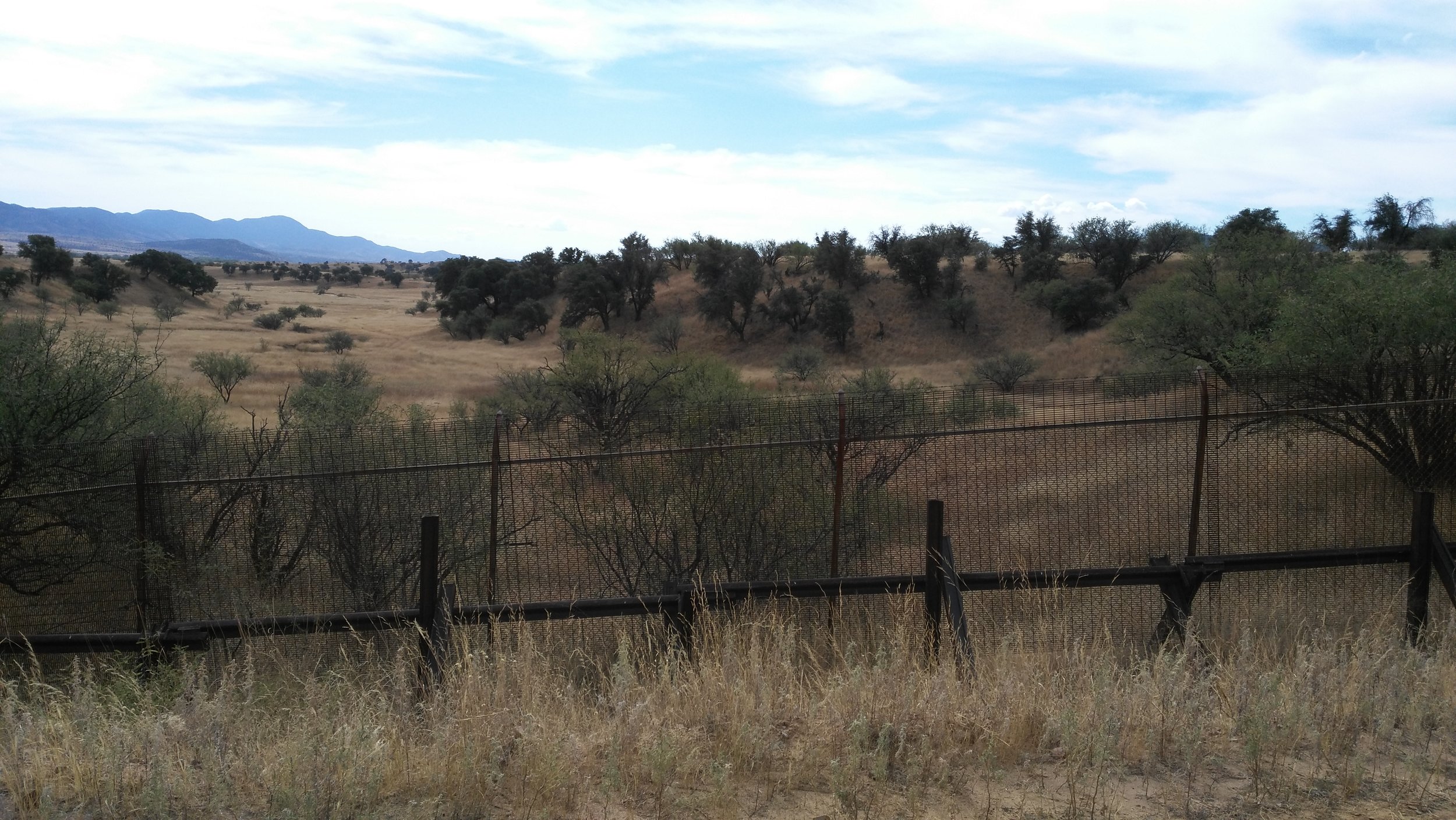 Patagonia Smaller border fence.jpg