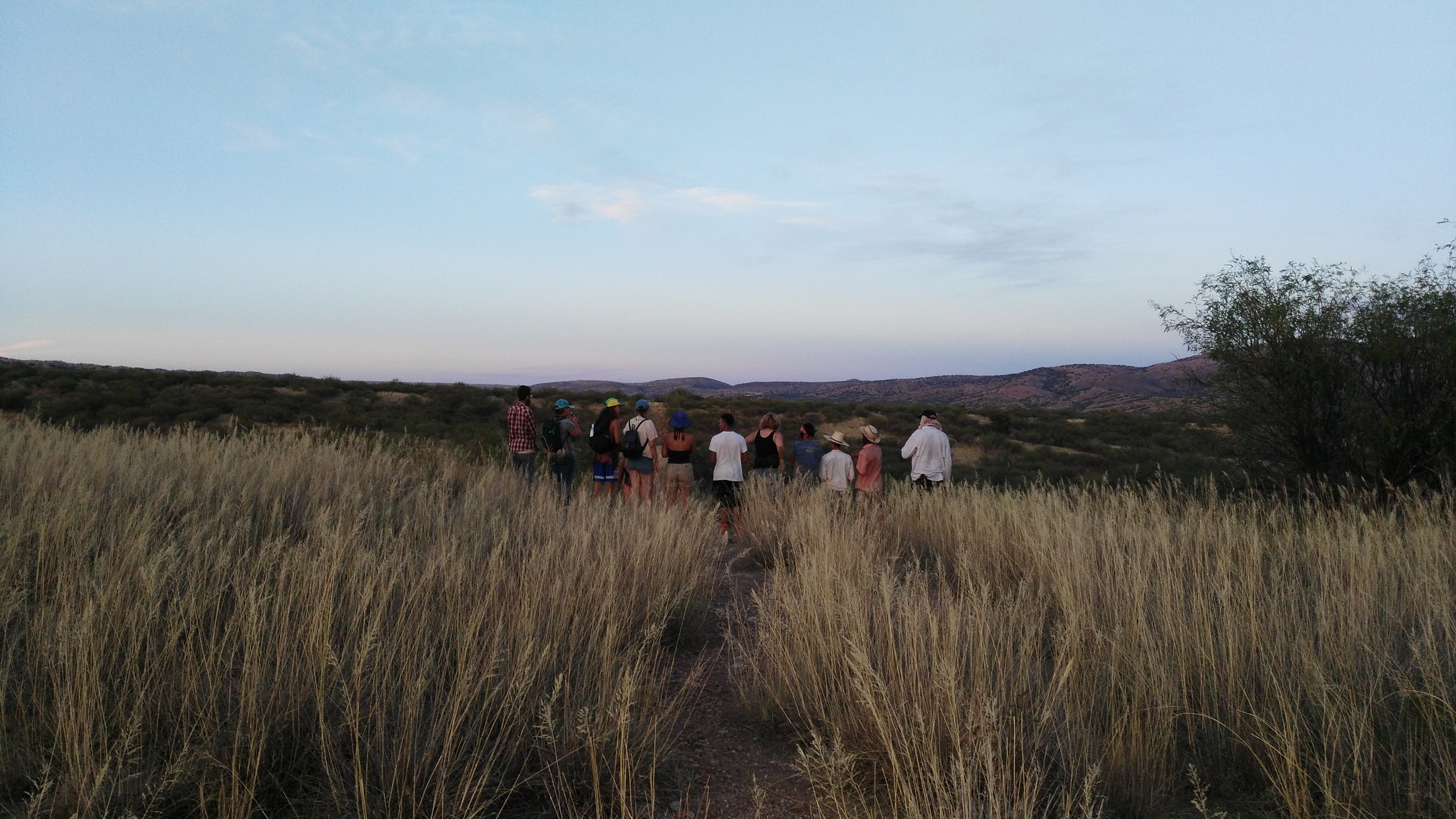 Patagonia Restoration site photo.jpg