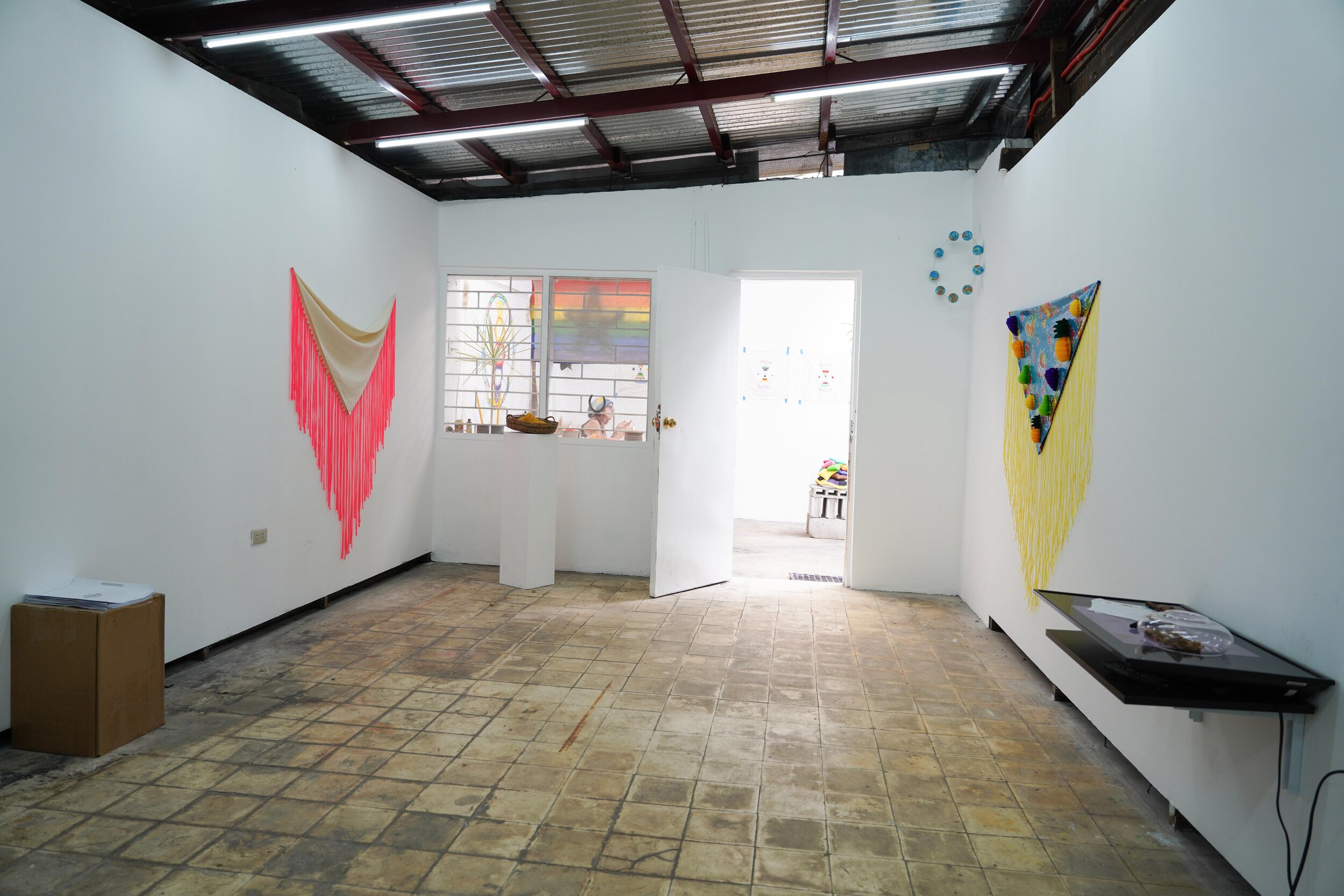 Installation view of works by Carolina Magis Weinberg