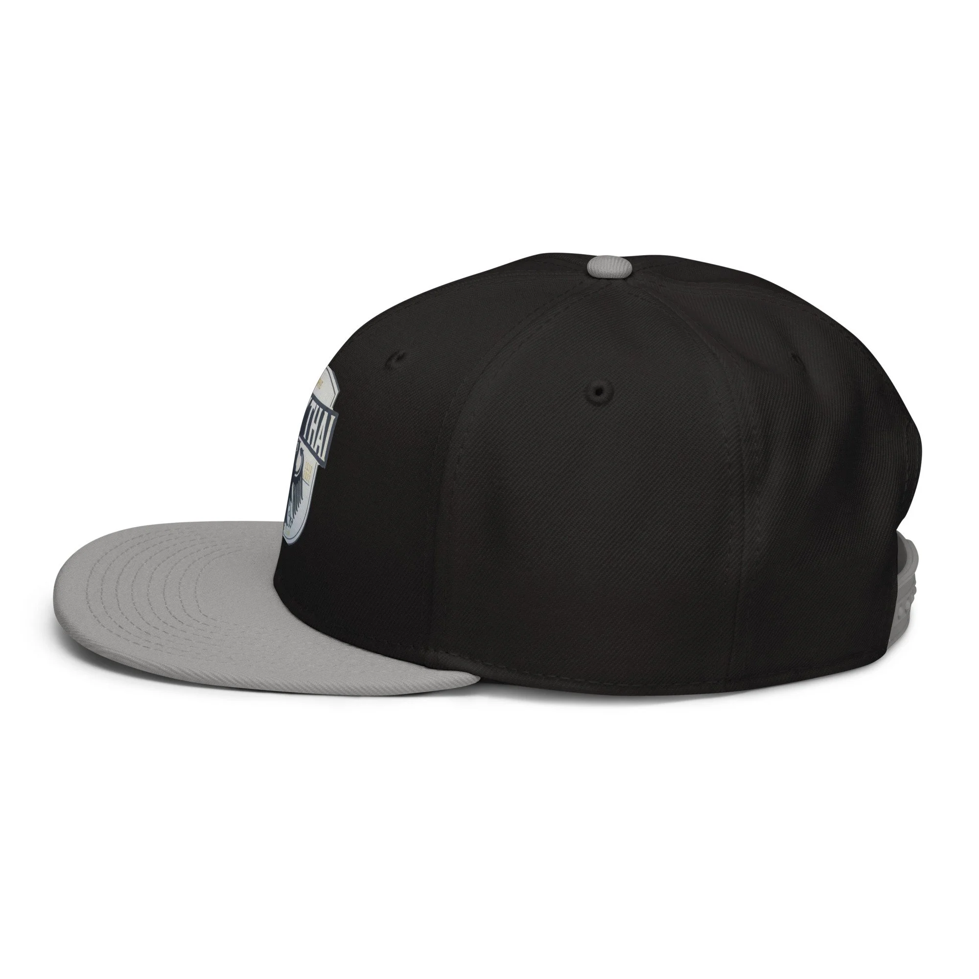 snapback-gray-black-black-left-side-6a3aff4d80e0a.jpg