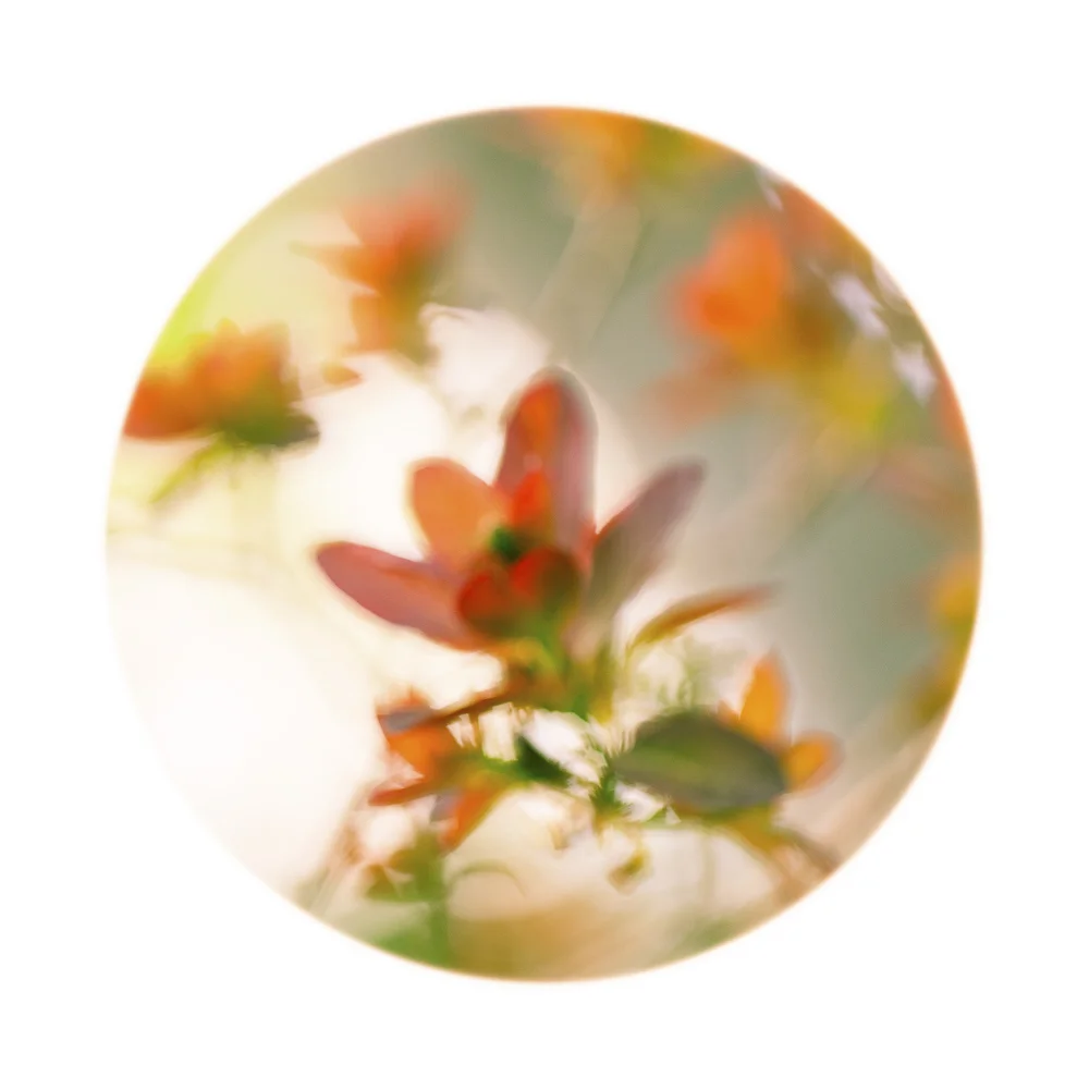Nature Up Close #13