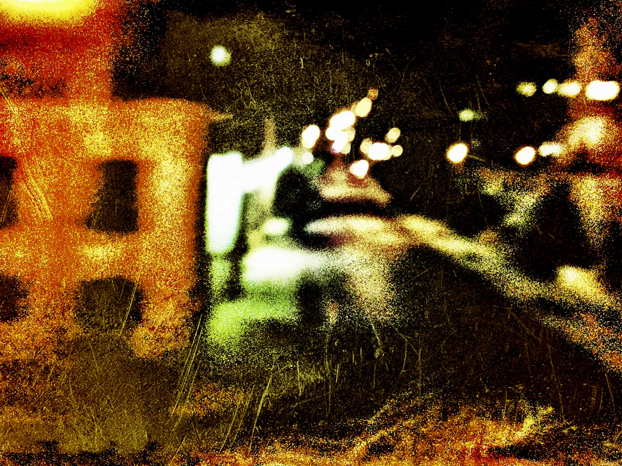 Round Trip #17 “Round Trip” portray’s the artist’s view from the train as she rides back and forth from the suburbs to the city of New York. In a dream-like, poetic style, this series offers Miracolo’s subtle musings on the passages we humans make across time and space.