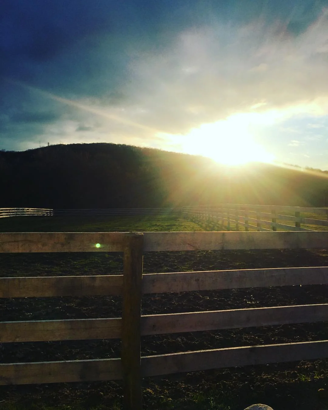 About Us — Stoneleigh Labradors