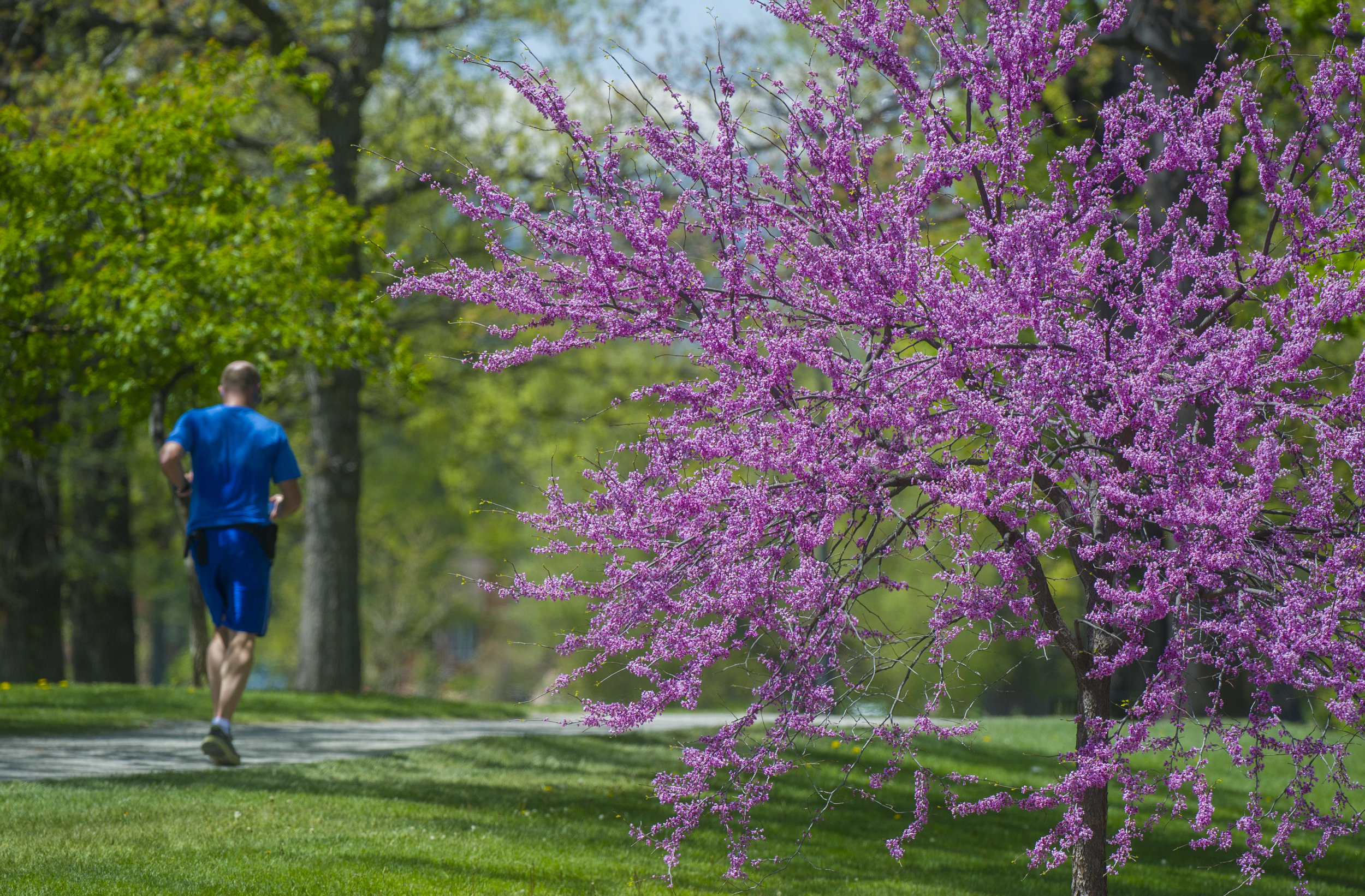 cherry-creek-path-jogger_5510d23c-f0ae-5102-065b139bfc26a452.jpg