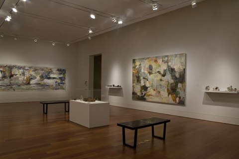 Terrell James: Field Study, 2011 The Cameron Art Museum , Wilmington, NC