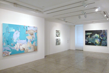 Terrell James - Mooring Jason McCoy Gallery, New York May 6 - July 02, 2010
