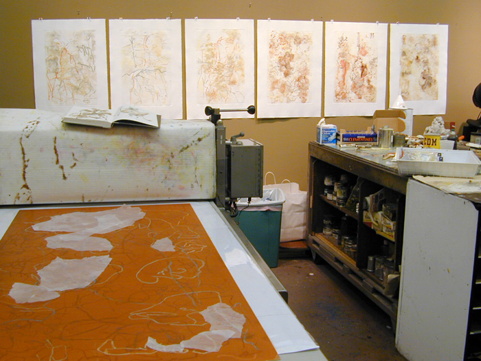 Monoprints, Texas Arts Collaborative, 2004, Houston, Texas