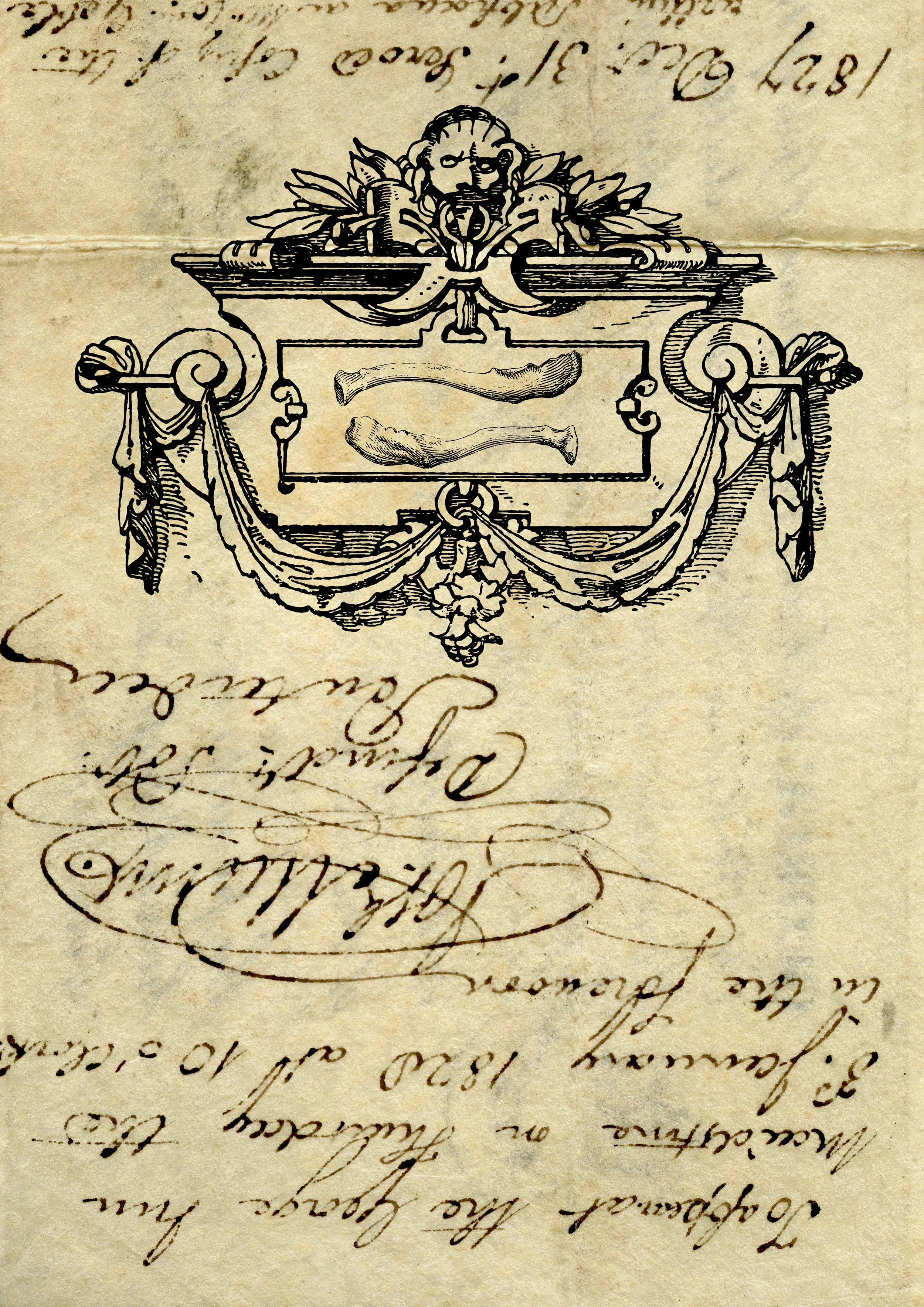 Mirror7.jpg
