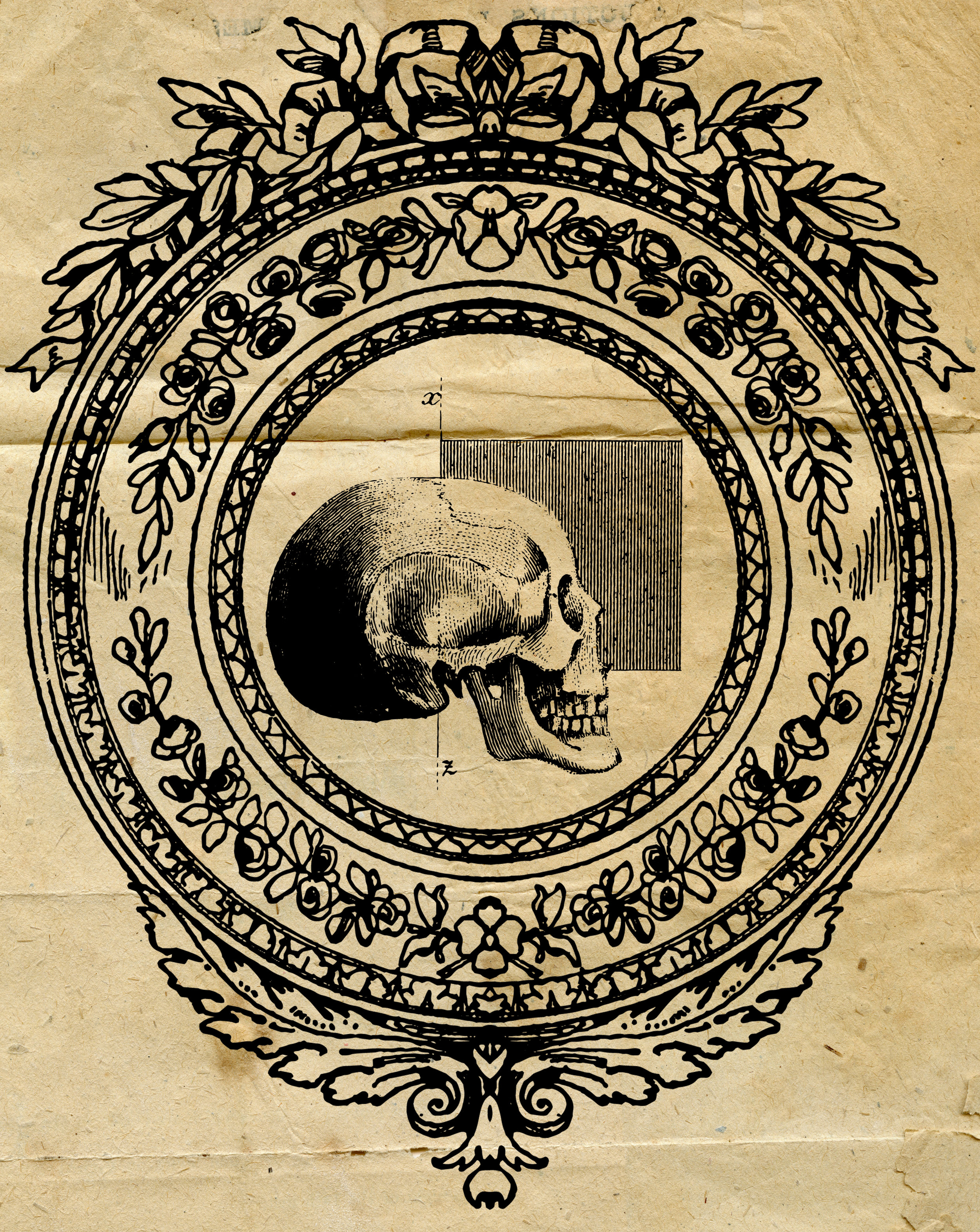 Mirror14.jpg