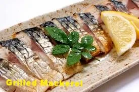 MACKEREL.jpg