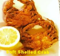 SOFT SHEELED CRAB.jpg