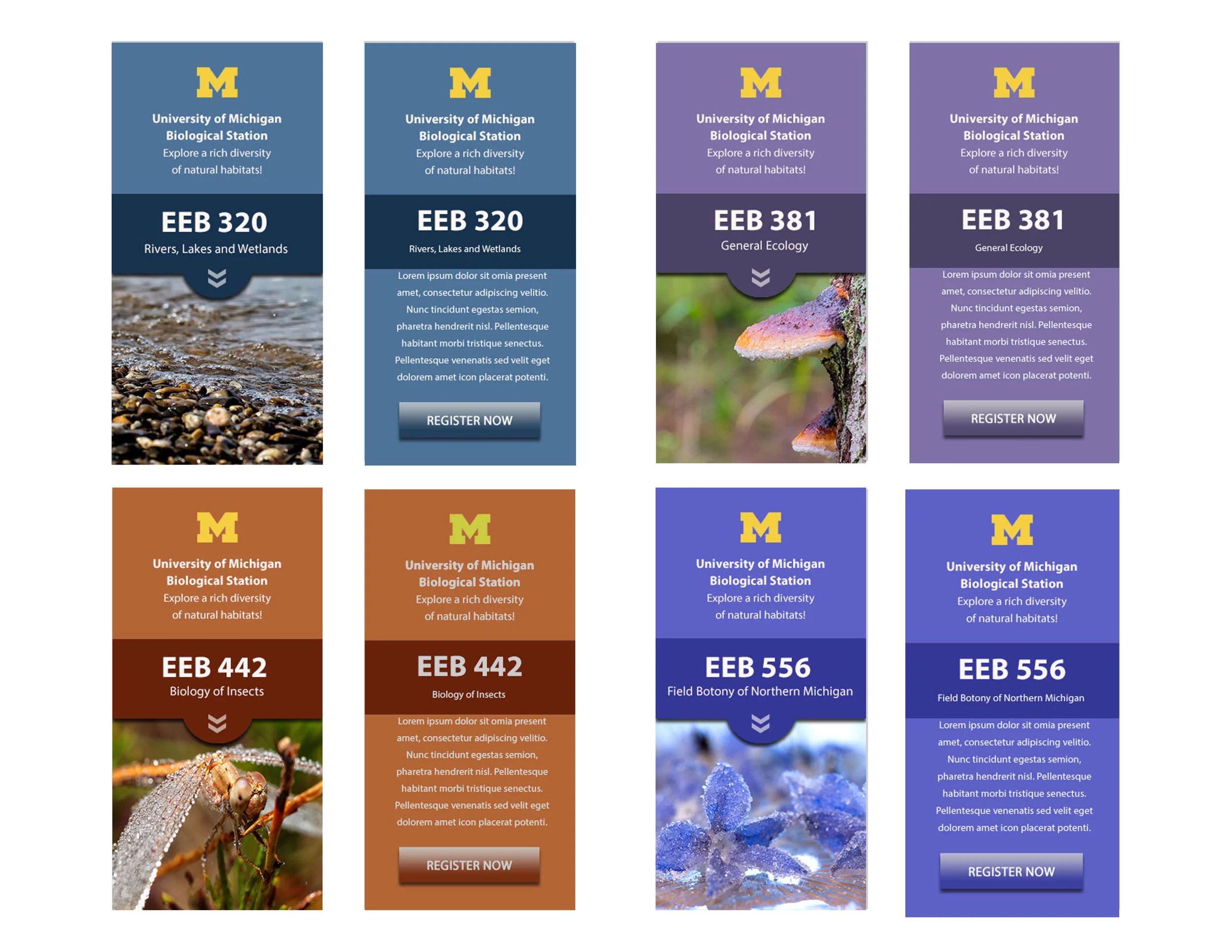 Graphic design project: Web Banners