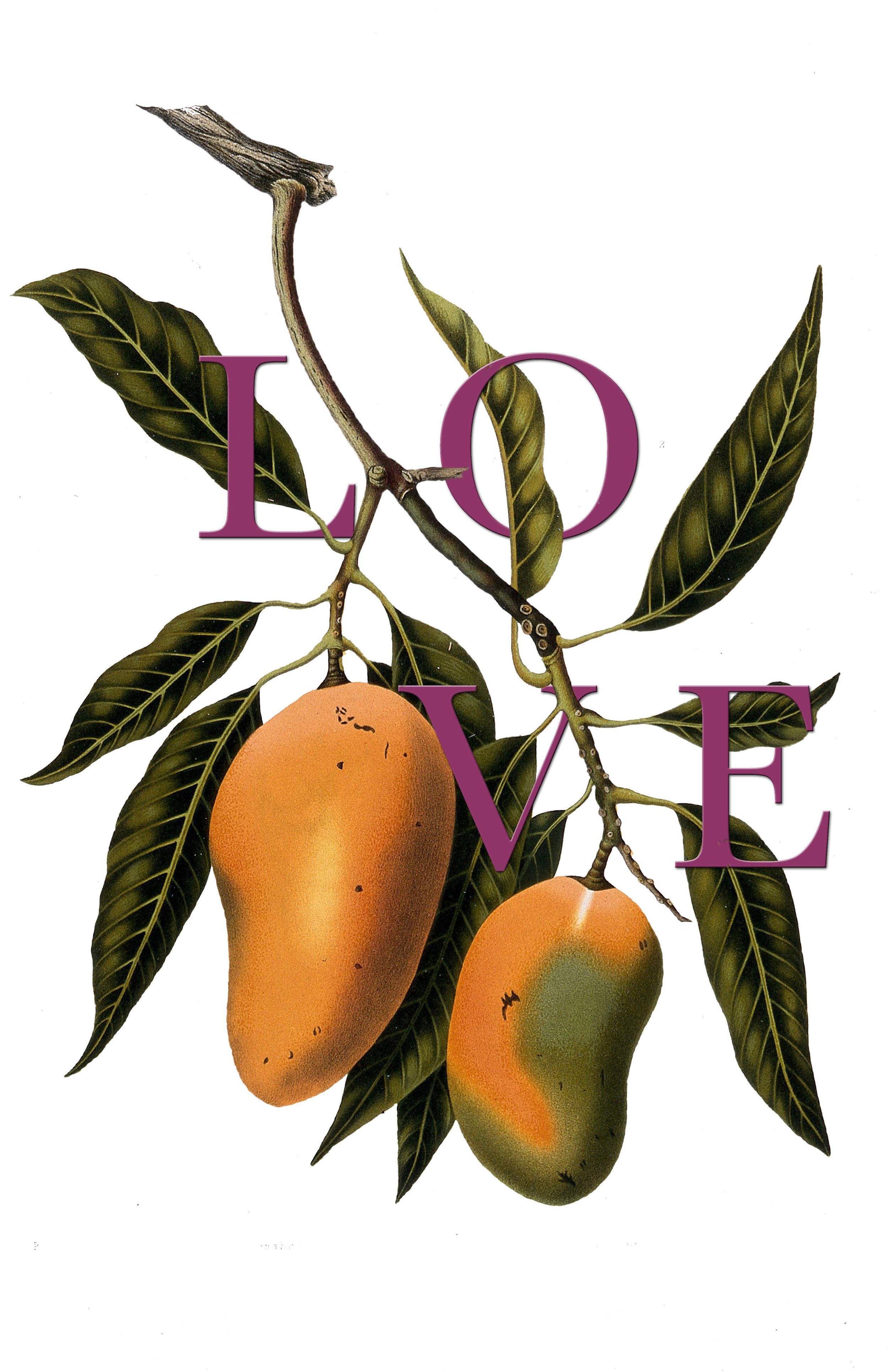 Collage using Adobe Photoshop