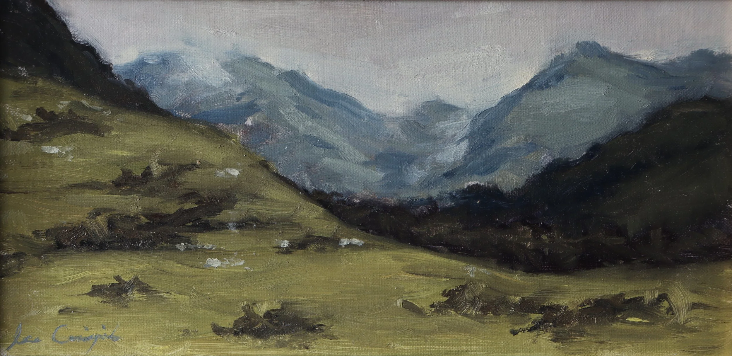 Plein air oil painting of Glen Nevis with drifting Scotch mist and rolling Highland hills by Scottish fine artist Lee Craigmile.