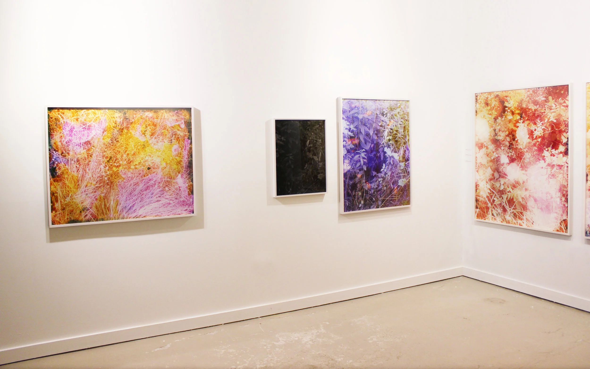 Solo Show Winter Clings To Parts Of Us The Harts Gallery