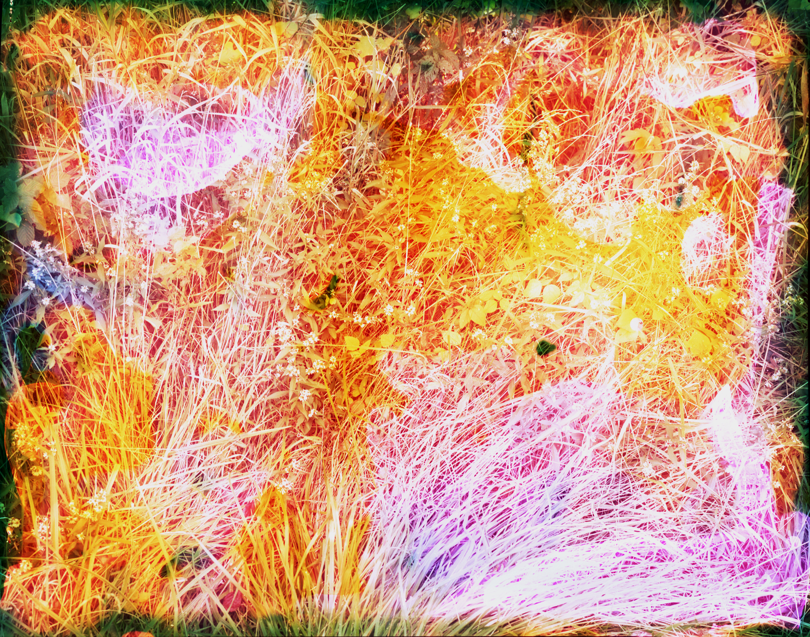 Reenactment 101 (Lavender Grass), 32 x 40 in, 2014