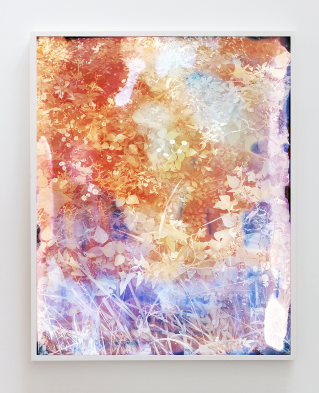 La Marchande des 4 Saisons Gallery Arles, France Group Show curated by Emmanuelle Oddo Tealia Ellis Ritter, Marion Mailaender, Come Clerino, Lea Munsch, Sophie Kitching and Delphine Denereaz