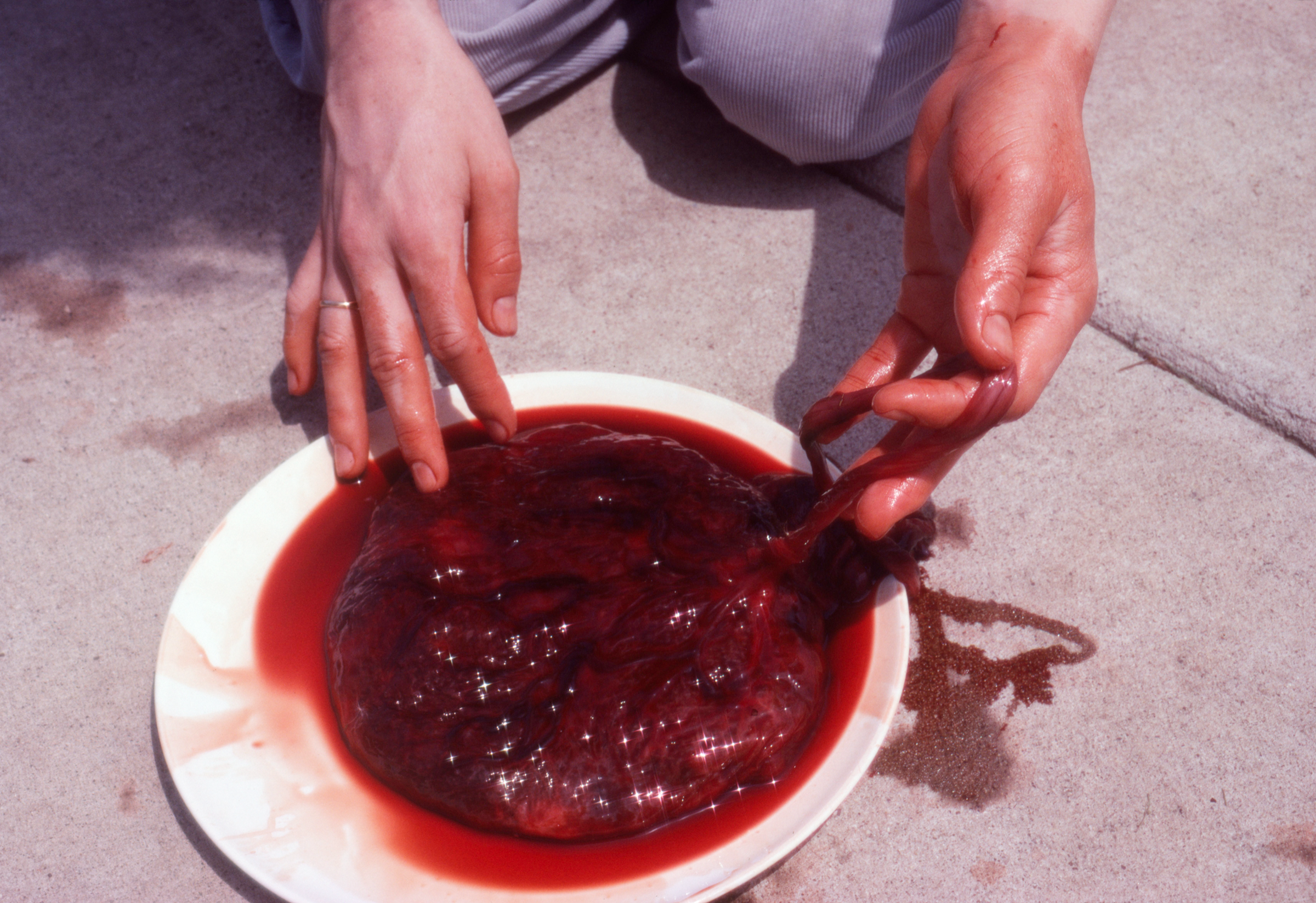 Tealia's placenta, Anne's hands, 2024/1978